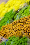 MIN RUNGIS-Fleurs-57